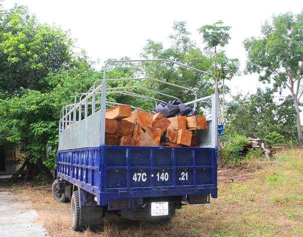 Chiếc xe tải cùng toàn bộ số gỗ lậu được cơ quan chức năng bắt giữ