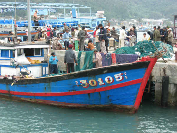 Những ngày tháng 10, cảng cá Thuận Phước và âu thuyền Thọ Quang (Đà Nẵng) tấp nập tàu cá ra vào 