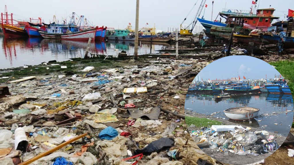 Âu thuyền Thọ Quang bị ô nhiễm nghiêm trọng. Nước trong Âu thuyền đen ngòm, rác thải dơ bẩn, bốc mùi hôi thối nồng nặc cả ngày lẫn đêm, khiến cuộc sống người dân ở xung quanh bị đảo lộn 