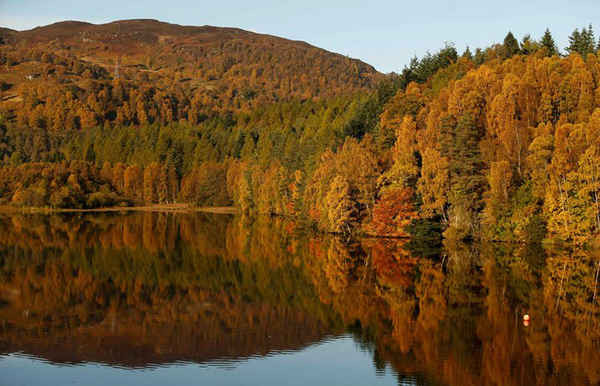 Hình ảnh những chiếc lá mùa thu ở vùng Loch Faskally thuộc Pitlochry, Scotland. Ảnh: Russell