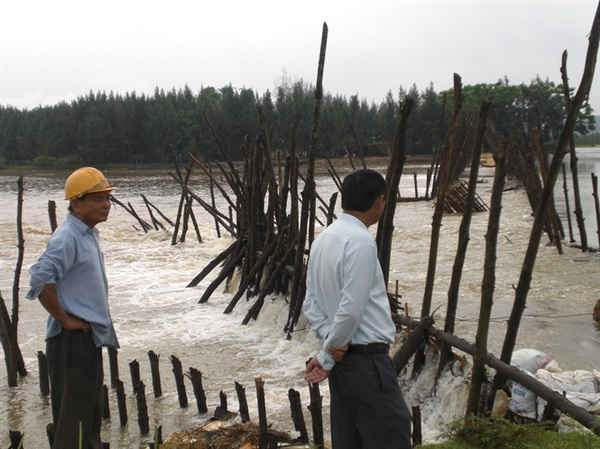 Hàng năm phải đầu tư hàng trăm triệu đồng để làm đập bổi trên sông Trà Bồng