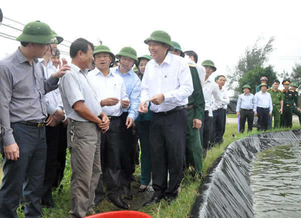 Cầm những chú tôm đang được nuôi ở huyện ven biển Lộc Hà, Hà Tĩnh, Phó Thủ tướng thường trực Chính phủ Trương Hòa Bình vui mừng cho biết: Sự cố môi trường đã dần lùi lại phía sau