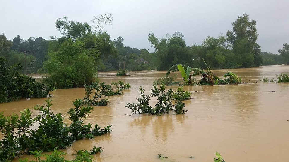 Nhiều khu vườn của người dân ở xã Hương Đô tiếp tục bị nhấn chìm