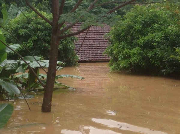 Nhà dân tại xã Đức Hóa, huyện Tuyên Hóa nước ngập đến mái