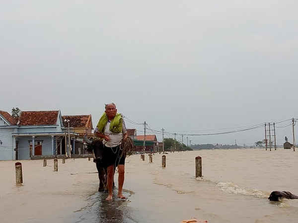 Dự báo nước trên các sông tại Quảng Bình đang dưng cao