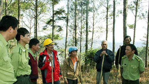 Lực lượng chức năng kiểm tra việc lấn chiếm đất rừng.
