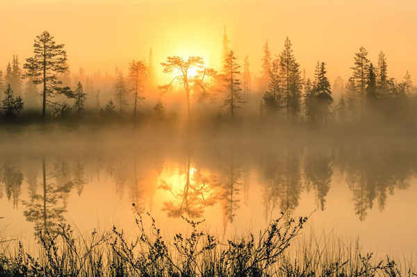Sunrise, công viên quốc gia Syöte, Bắc Ostrobothnia, Phần Lan. Ảnh: Tiina Törmänen / Rex / Shutterstoc