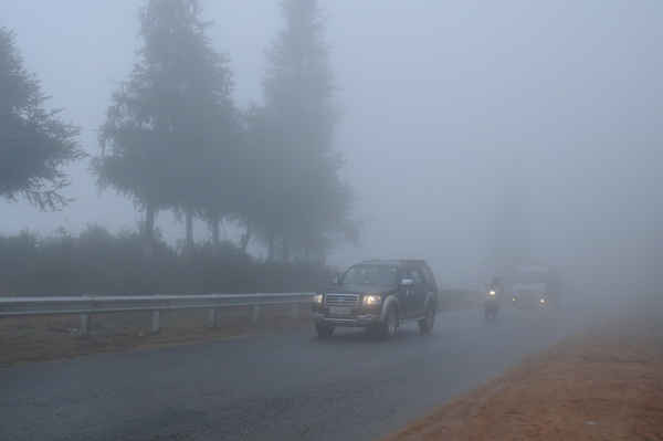 Đường từ thành phố Lào Cai lên khu du lịch Sa Pa sương mù dày đặc  xe ô tô  phải bật đèn vàng mới đi lại an toàn được.