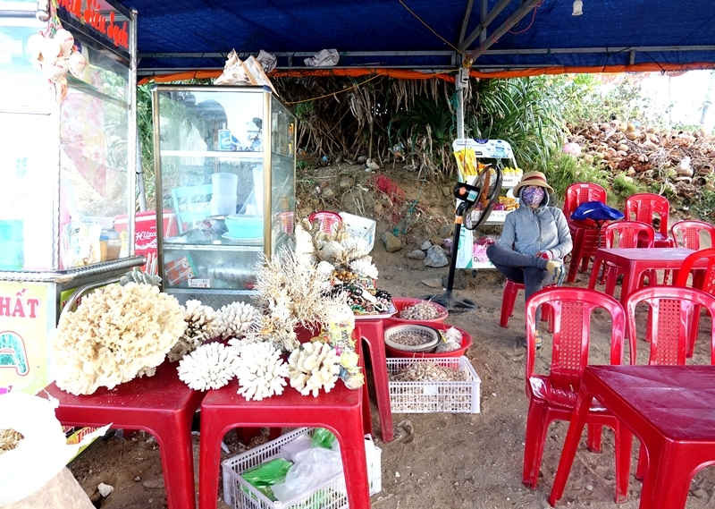 Người dân vô tư bán san hô tại các hàng quán