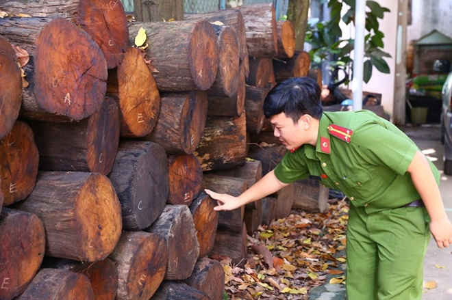 Lực lượng Công an kiểm tra số gỗ quý