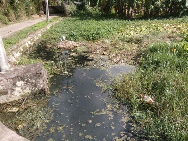 : Nước thải, phân lợn từ trang trại của hộ gia đình ông Hoàng Văn Thọ, thôn Đông Khê  đang xả thải ao ngay trước nhà.
