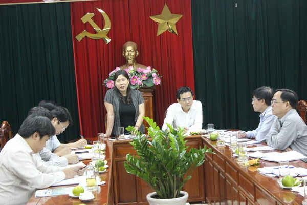 Thứ trưởng Bộ TN&MT Nguyễn Thị Phương Hoa phát biểu kết luận buổi làm việc