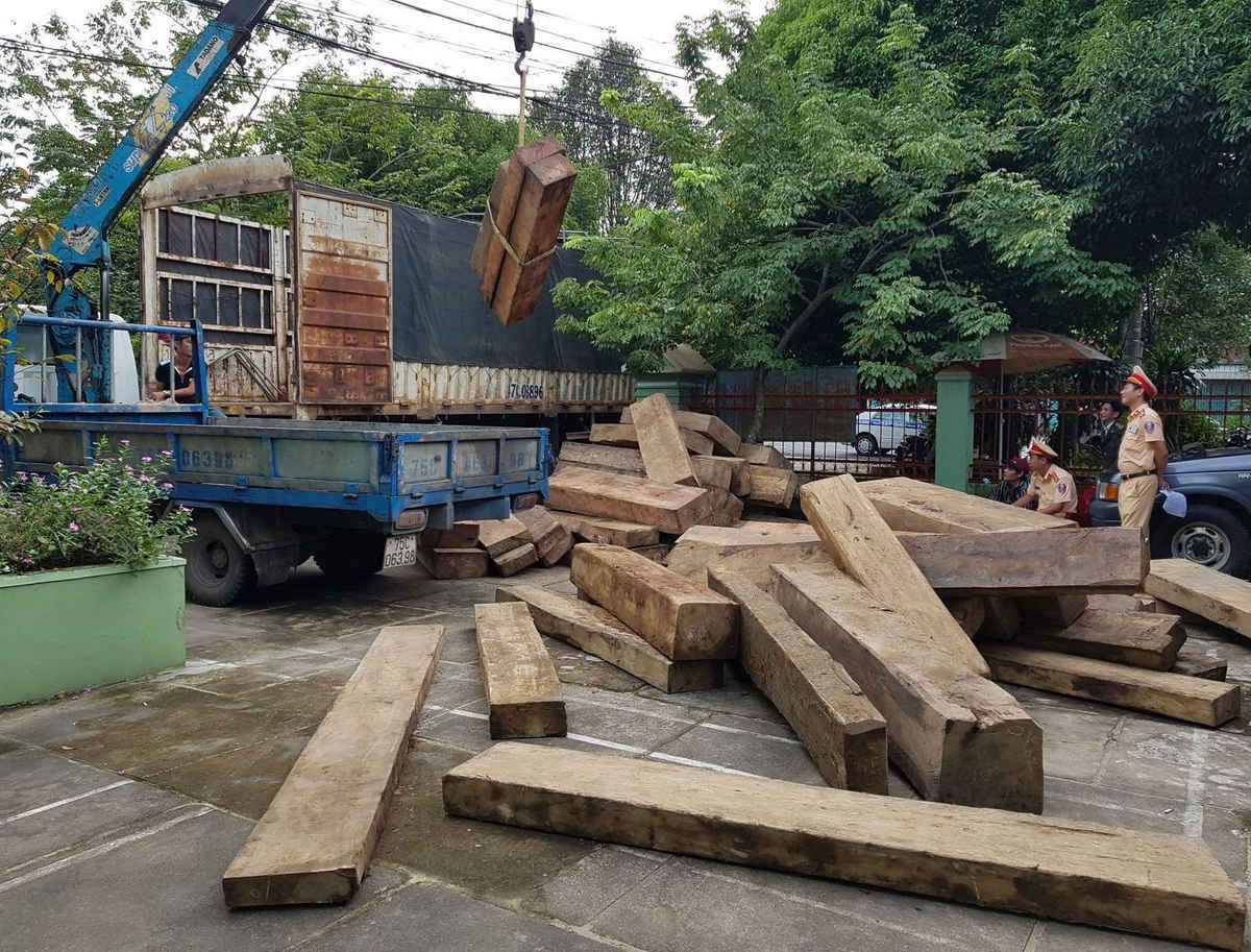 Toàn bộ số gỗ trên được chở từ TP. Buôn Ma Thuộc đi Hải Phòng