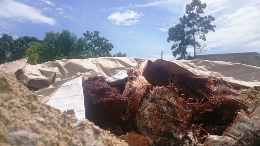 ty Ánh Dương chôn hàng chục tấn chất thải nghi độc hại tại khuôn viên Cty