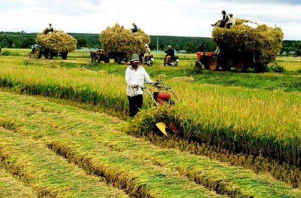 Nông nghiệp là lĩnh vực ưu tiên phát triển của Việt Nam và Australia