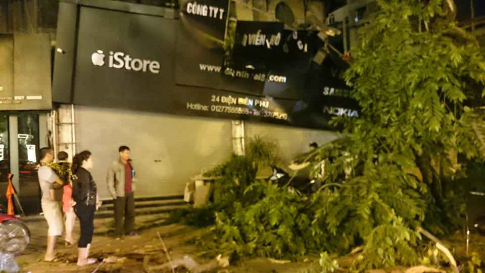 Hiện trường cây đổ ở phố Điện Biên Phủ. (ảnh: FB)