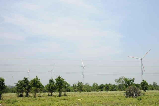 Ninh Thuận có nhiều tiềm năng phát triển năng lượng tái tạo