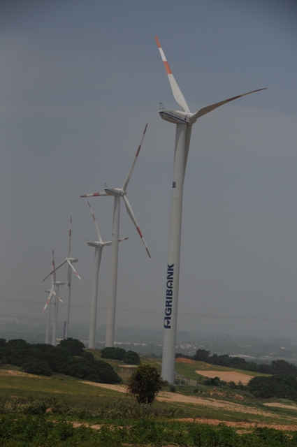 Nhiều dự án điện gió đang được triển khai
