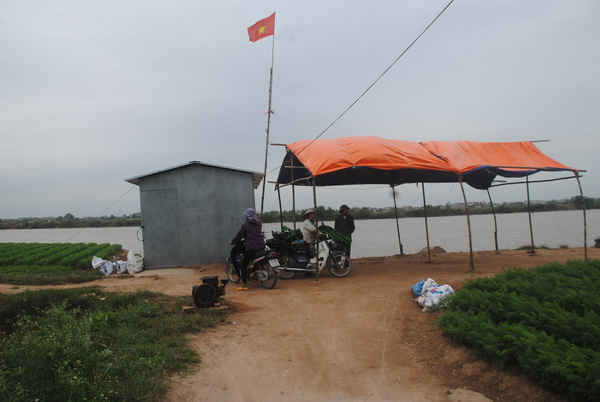 Người dân thôn Tân Thắng dựng lều canh cát tặc