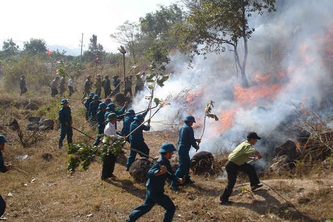 Mùa khô hanh 2016-2017, tỉnh Sơn La sẽ thực hiện đồng bộ nhiều giải pháp để giảm dần nguy cơ cháy rừng, hạn chế thấp nhất thiệt hại do cháy rừng gây ra