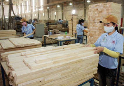 Chế biến ván gỗ tại Công ty CP Gỗ Minh Dương (Khu công nghiệp Bắc Chu Lai, tỉnh Quảng Nam) nguyên liệu chủ yếu nhập từ nước ngoài