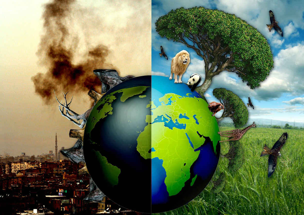 Bảo vệ môi trường là vấn đề sống còn của nhân loại