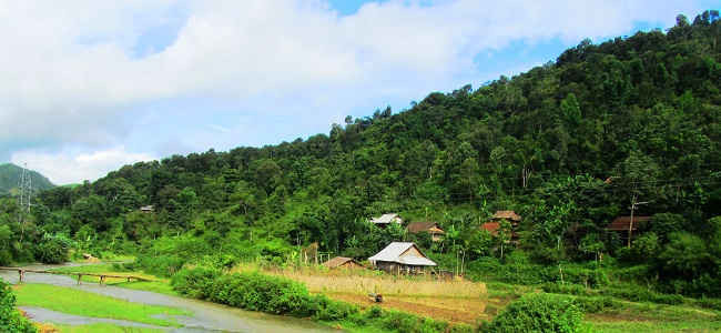 Trên 2.400ha rừng của xã Nà Nhạn, huyện Điện Biên được hưởng chính sách chi trả DVMTR.