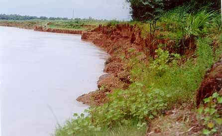 Hệ lụy của việc thay đổi dòng chảy đã khiến bờ sông Vu Gia và Thu Bồn bị sạt lở nghiêm trọng, làm mất đi hàng trăm ha đất canh tác