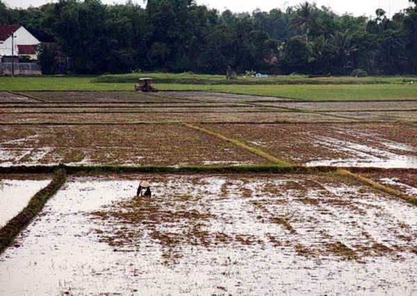 Tranh thủ thời tiết tạnh ráo, nông dân Bình Định bắt tay vào cải tạo ruộng đồng để sớm triển khai gieo sạ
