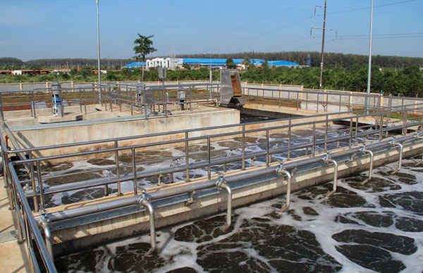 Nhiều doanh nghiệp xây dựng hệ thống xử lý nước thải nhưng cố tình không vận hành mà xả thẳng ra môi trường để tránh chi phí