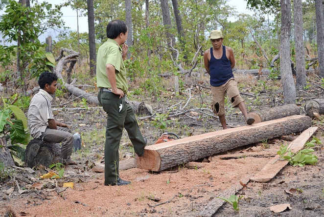 Phối hợp quản lý bảo vệ rừng giáp ranh Gia Lai và Phú Yên để nâng cao hiệu quả quản lý nhà nước về lâm nghiệp trên địa bàn 2 tỉnh.
