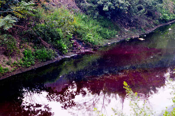 Sáng 19/12, khi phóng viên có mặt, xưởng vẫn đang xả ra sông thứ nước màu đỏ quánh.