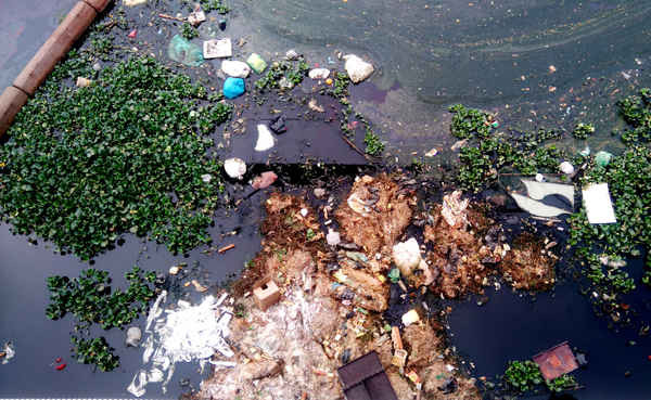 Tình trạng rác thải từ hoạt động kinh doanh gia cầm cũng vứt xuống dòng kênh dẫn La Khê