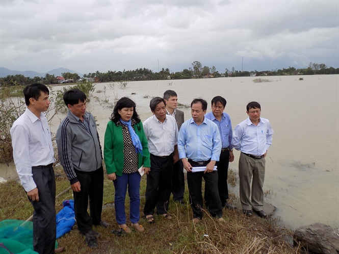 Ông Nguyễn Hồng Sơn, Cục trưởng Cục Trồng trọt, thị sát cánh đồng lúa bị ngập ở huyện Diên Khánh