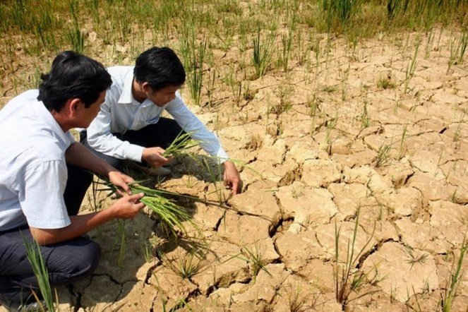 Biến đổi khí hậu gây hạn hán ở miền Trung