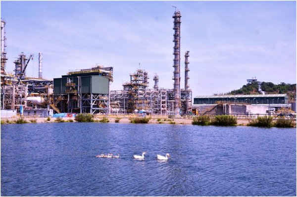Hồ chứa nước thải đã xử lý của NMLD Dung Quất luôn đáp ứng các chỉ tiêu khắt khe nhất về bảo vệ môi trường