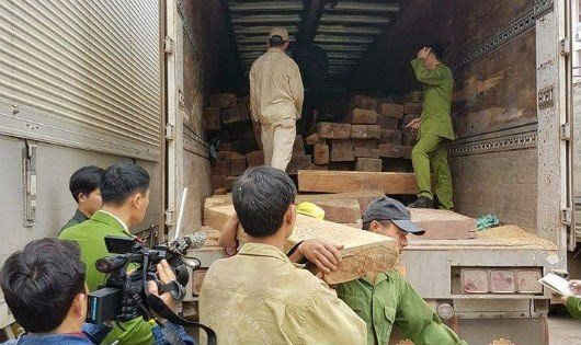Cơ quan chức năng bắt giữ số lượng lớn gỗ đinh hương lậu