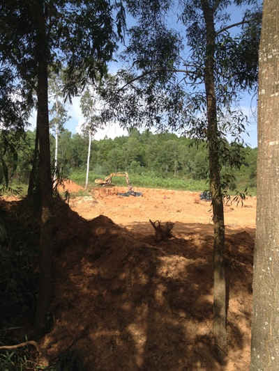Mặc dù mới có chủ trương khảo sát địa điểm xây dựng dự án nhưng nhà đầu tư đã đưa máy móc vào đào bới đất đem ra ngoài đổ