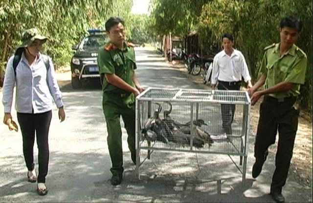 Thả động vật hoang dã thu giữ trong các đợt kiểm tra vào Vườn Quốc gia Tràm Chim. Động vật hoabg dã được bày bán tràn lan ở chợ. 