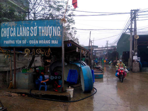 Chợ cá làng Sở Thương (phường Yên Sở, Hà Nôi) là chợ cá đầu mối lớn nhất Thủ đô cho tói thời điểm hiện nay