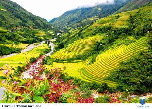 Khu du lịch Sa Pa được tạp chí Conde Nast Traveler bình chọn là 1 trong 50 điểm đến đẹp nhất châu Á