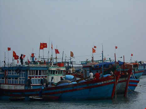 Nhiều tàu cá của ngư dân Lý Sơn chuẩn bị ngư cụ sẵn sàng vươn khơi Hoàng Sa – Trường Sa trong mừa biển mới.
