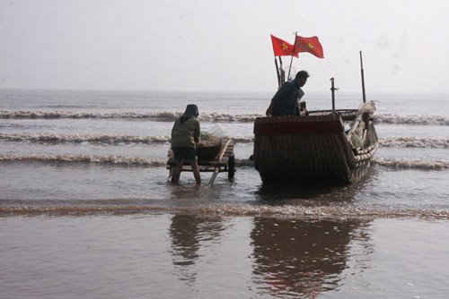 Tranh thủ vừa ăn Tết vừa xuất hành, hàng nghìn ngư dân đã trúng đậm mùa tép biển.