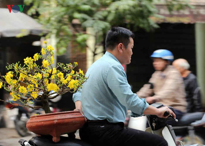 Trước và trong Tết Đinh Dậu, số người vi phạm giao thông tăng vọt. Nhiều người không đội mũ bảo hiểm, vượt đèn đỏ khi điều khiển xe máy