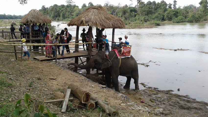 Khách du lịch thích thú với sản phẩm du lịch cỡi voi quan sông Sêrêpốk.