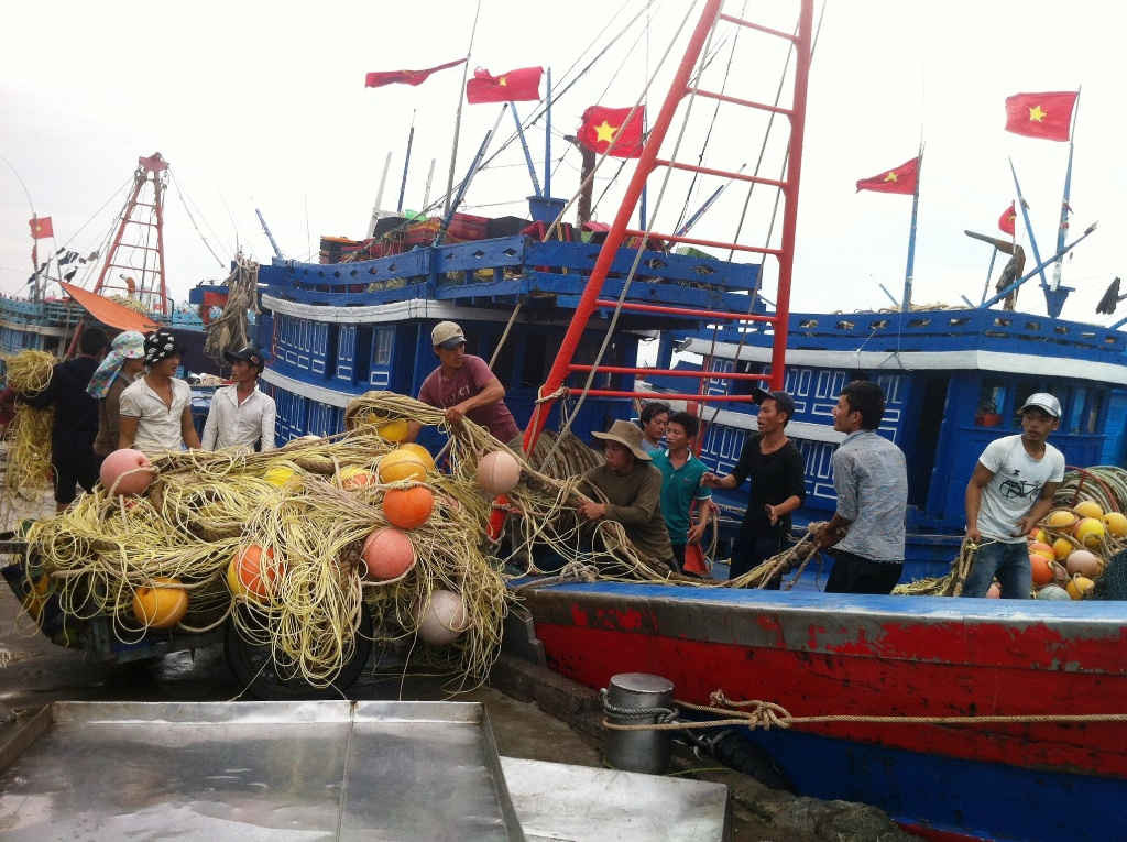 Trúng đậm mùa cá đầu năm, cảng Thuận Phước (Đà Nẵng) nhộn nhịp, tưng bừng