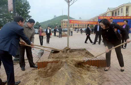Lãnh đạo tỉnh Yên Bái trồng cây nhân dịp Xuân Đinh Dậu 2017