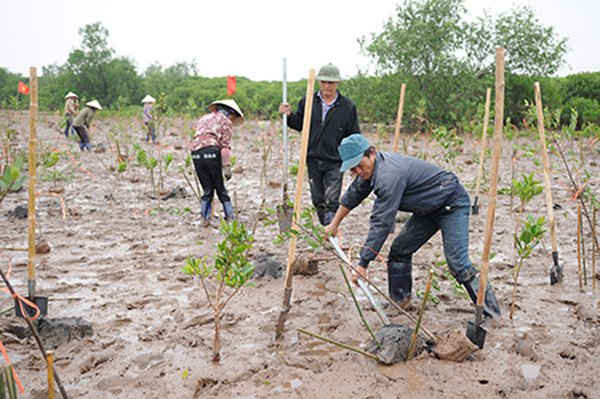 Người dân Thái Thụy tham gia trồng cây sáng 5/2. Ảnh: baothaibinh.vn
