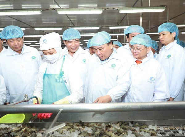 Thủ tướng Nguyễn Xuân Phúc đến thăm Tập đoàn thủy sản Minh Phú. (Ảnh: Thống Nhất/TTXVN)