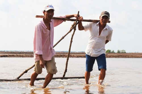 Bà con làng muối ở Bạc Liêu lao đao vì mưa trái mùa